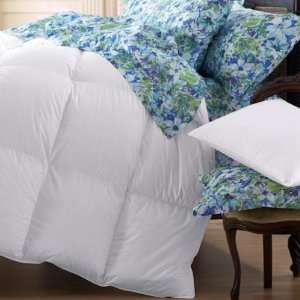  Bellisimo Cotton Voile Fitted Sheets ( King ): Home 