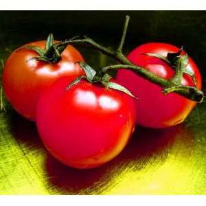   Merlot Tomato 4 Plants   Good Slicing Tomato!: Patio, Lawn & Garden