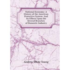 National Economy A History of the American Protective System And Its 