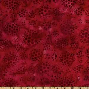   Wide Artisan Batiks: Elementals Lots Of Dots Cherry Fabric By The Yard