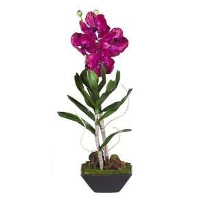  Vanda w/Black Vase Silk Flower Arrangement: Home & Kitchen