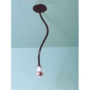   Single Arm Dunsford Snake Directional Spot Light: Home Improvement