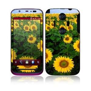 Sharp Aquos IS12SH (Japan Exclusive Right) Decal Skin   Sun Flowers