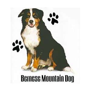  Bernese Mountain Dog Shirts: Pet Supplies