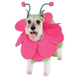  Lets Party By Paper Magic Group Bloomin Snout Pet Costume 