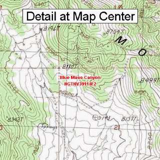  USGS Topographic Quadrangle Map   Blue Mass Canyon, Nevada 