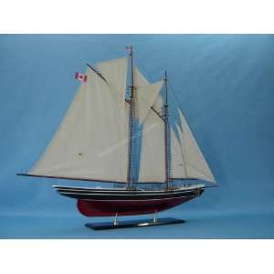  Bluenose 2 Limited 50 Toys & Games