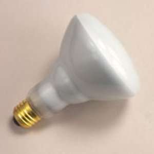  100 Watt Indoor Flood Lamp Light Bulb: Home Improvement