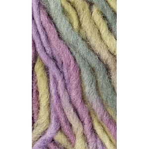    Berroco Peruvia Colors Herb Garden 7229 Yarn: Home & Kitchen