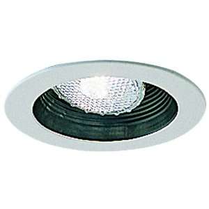  Nora Lighting NS 41A Adjustable Stepped Baffle Recessed 