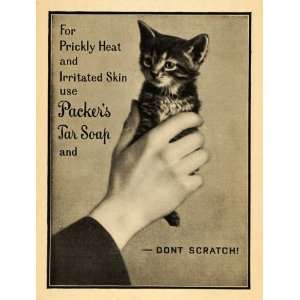   Kitten Skin Care Toiletries Personal Hygiene NY   Original Print Ad