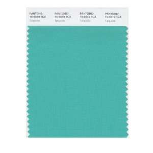  PANTONE SMART 15 5519X Color Swatch Card, Turquoise: Home 