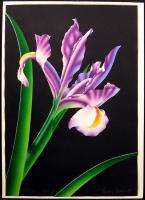 Brian Davis Iris V Hand Signed Original limited edition Art Floral 