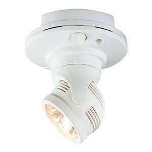   Renoma Lighting WM 039 H WH Directional Spot Light: Home Improvement