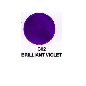    Verity Nail Polish Brilliant Violet C02: Health & Personal Care