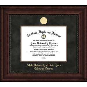 SUNY College at Oneonta Red Dragons   Gold Medallion 