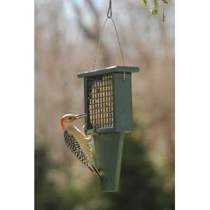  Suet Bird Feeder with Tail Prop   Hunter Green Recycled 