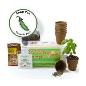  Snap Pea Organic Seed Starting Kit Toys & Games