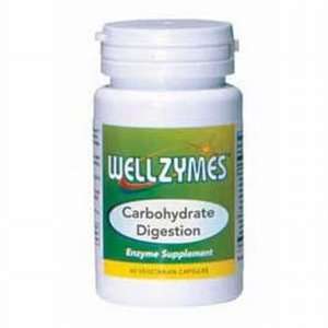  WellZymes Carbohydrate Digestion   90 Vegicaps.: Health 