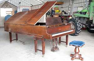 1881 Steinway D Rosewood Grand Piano With Perfect Ivories  