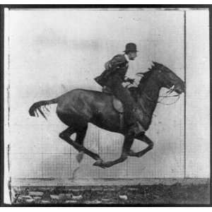 Single frame showing horse with all four legs off the 