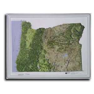  Oregon Topographic Relief Map Toys & Games