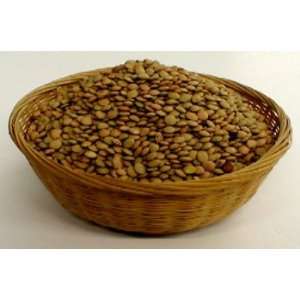 Organic Sprouting Seeds Lentil 1 Pound  Grocery & Gourmet 