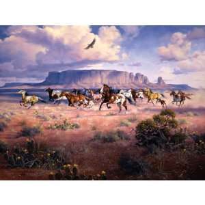  Jack Sorenson Free as the Wind 500pc Jigsaw Puzzle: Toys 