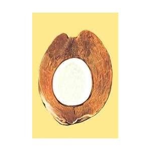  Coconut Core 28x42 Giclee on Canvas: Home & Kitchen
