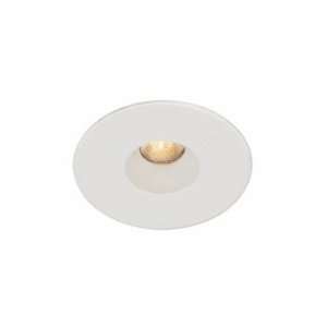  WAC Lighting Model LED211  2 in LED Downlight Housing and 
