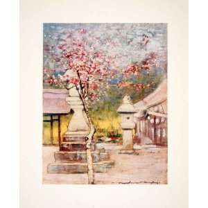   Peach Blossom Tree Japan Asian   Original Color Print