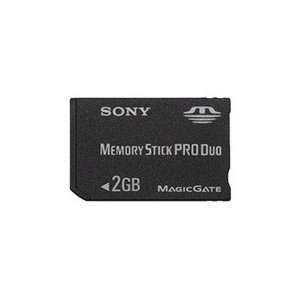   Sony   Flash memory card   2 GB   MS PRO DUO 