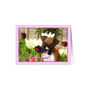  Buon Compleanno Boxer puppy in Tulips Card Health 
