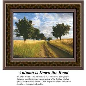   is Down the Road, Counted Cross Stitch Patterns PDF Download Available