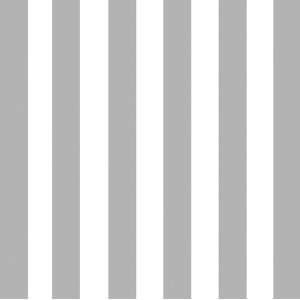  Silver Cabana Stripe Lunch Napkins, 3 Ply, (Pack of 20 