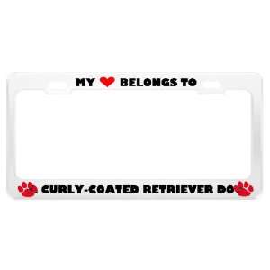  A Curly Coated Retriever Dog Pet White Metal License Plate 