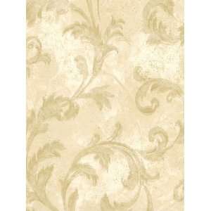  Scrolling Acanthus Commercial Wallpaper