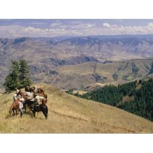  A Group of Horseback Riding Tourists Take in the View of 