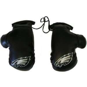   Boxing Gloves   NFL Football   Philadelphia Eagles: Sports & Outdoors