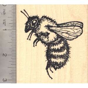  Extra Large Detailed Bee Rubber Stamp Arts, Crafts 