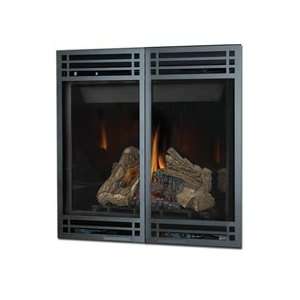   Black Direct Vent Fireplace Faceplate with Operable Screen Doors for