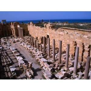  Ruins of the Roman Severan Basilica, Leptis Magna, Libya 