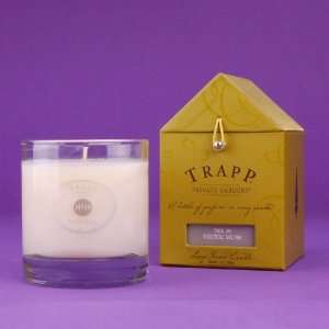  Exotic Musk Large Trapp Candle No.19