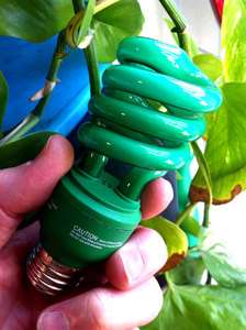   IN BULB unusual premium bright SPIRAL GREEN Decorate Any Room  