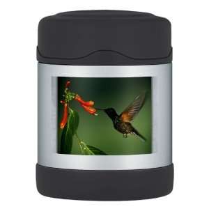    Thermos Food Jar Green Violetear Hummingbird: Everything Else