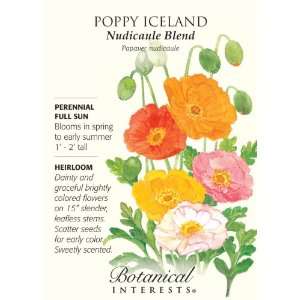  Nudicaule Iceland Poppy Seeds Patio, Lawn & Garden