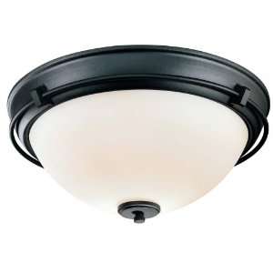  Iconic Collection Black 15 1/2” Wide Ceiling Light