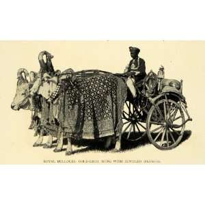   India Cattle Carriage Transit   Original Halftone Print Home