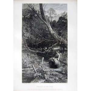  1870 Art Journal Twilight Wood Lady Trees Raven Cousen 