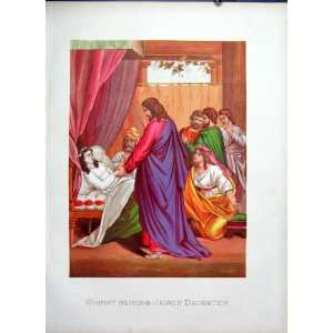  Christ Raising Jarius Daughter Pld Bible Print 1877: Home 